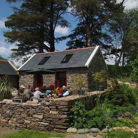 Ballycommane House&Garden Durrus Extérieur photo