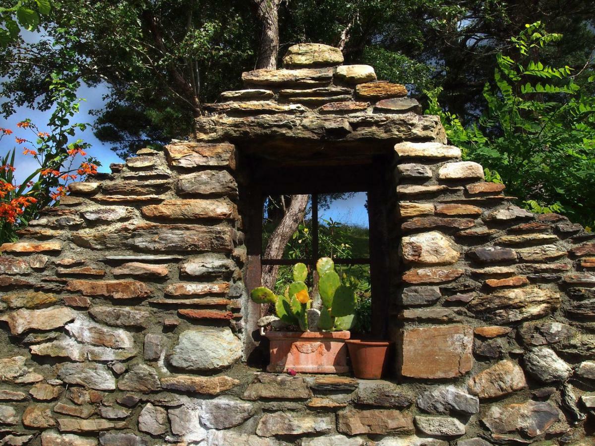 Ballycommane House&Garden Durrus Extérieur photo