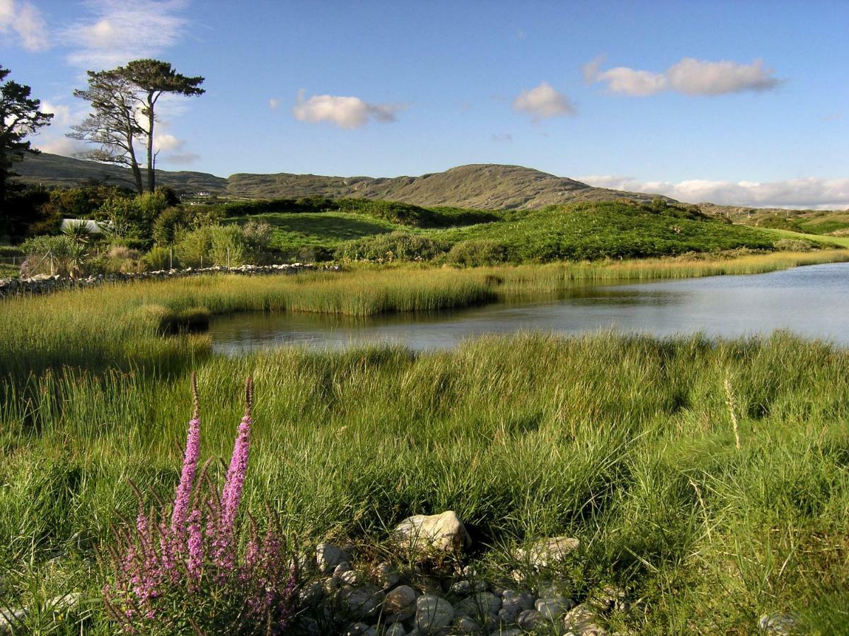 Ballycommane House&Garden Durrus Extérieur photo