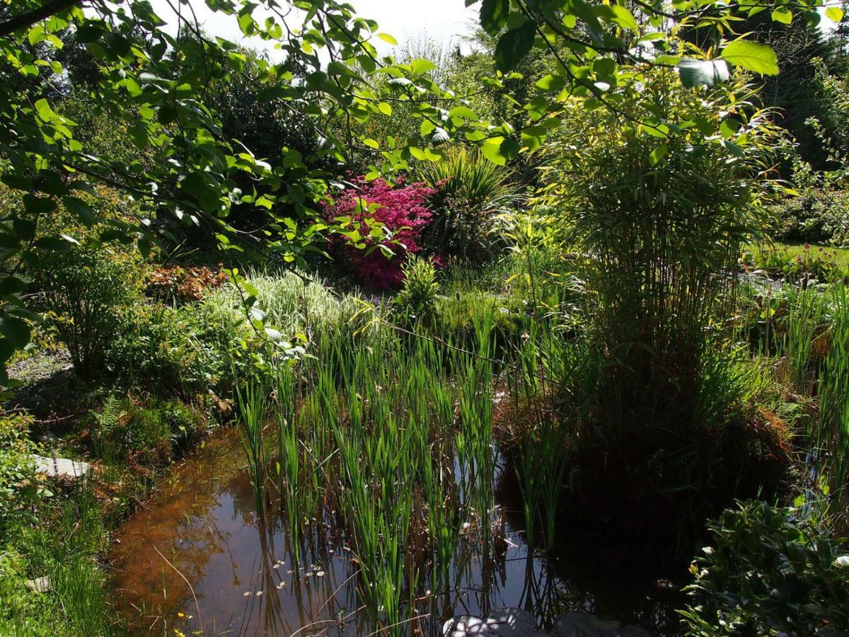 Ballycommane House&Garden Durrus Extérieur photo