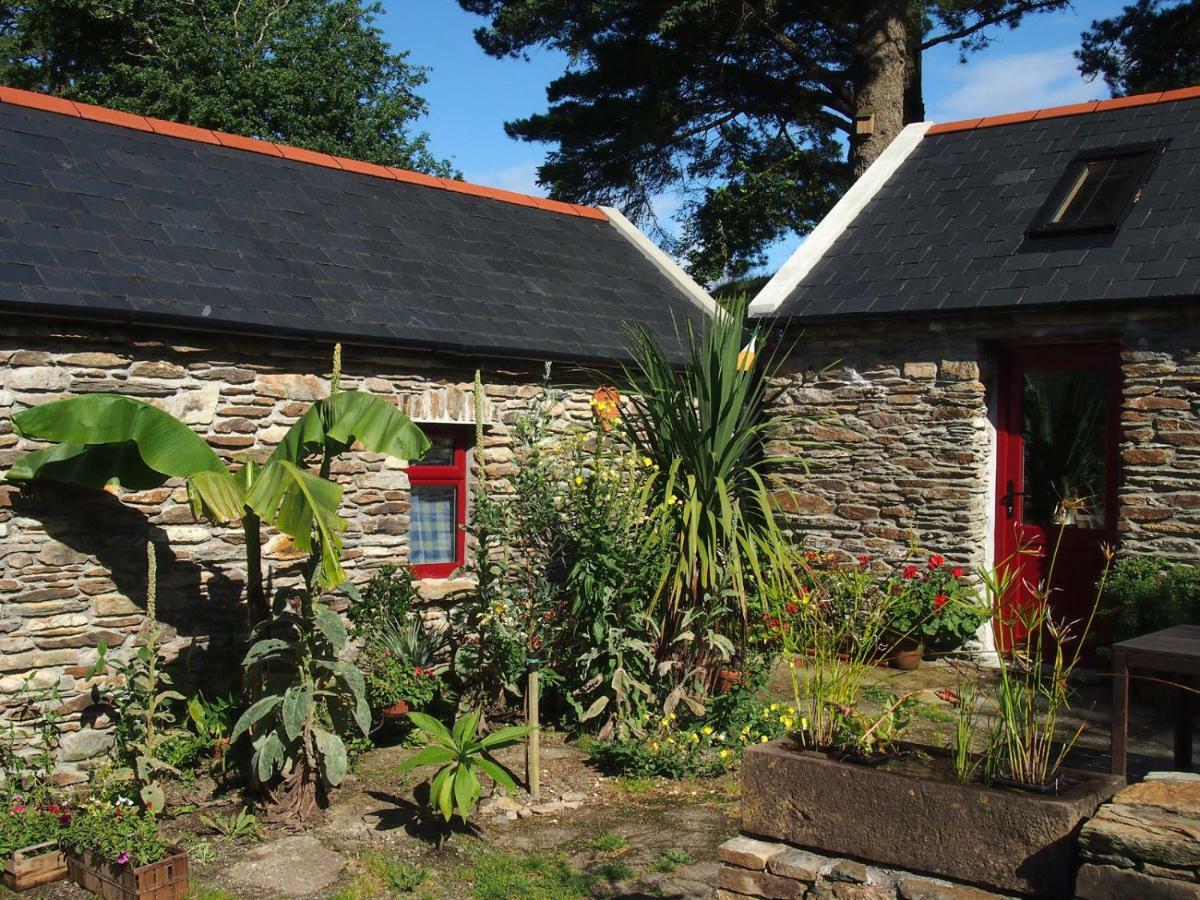 Ballycommane House&Garden Durrus Extérieur photo